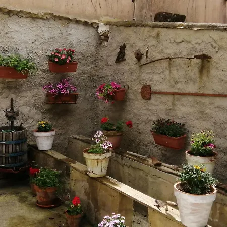 Holiday home Piccoledonne