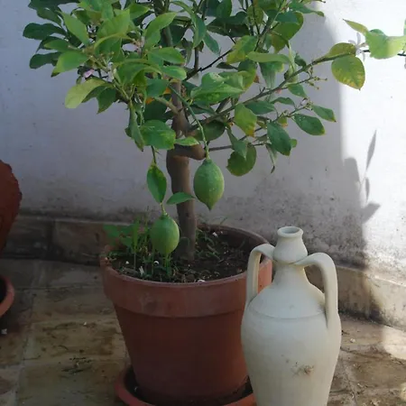 Piccoledonne Villaggio Mose (Sicily)